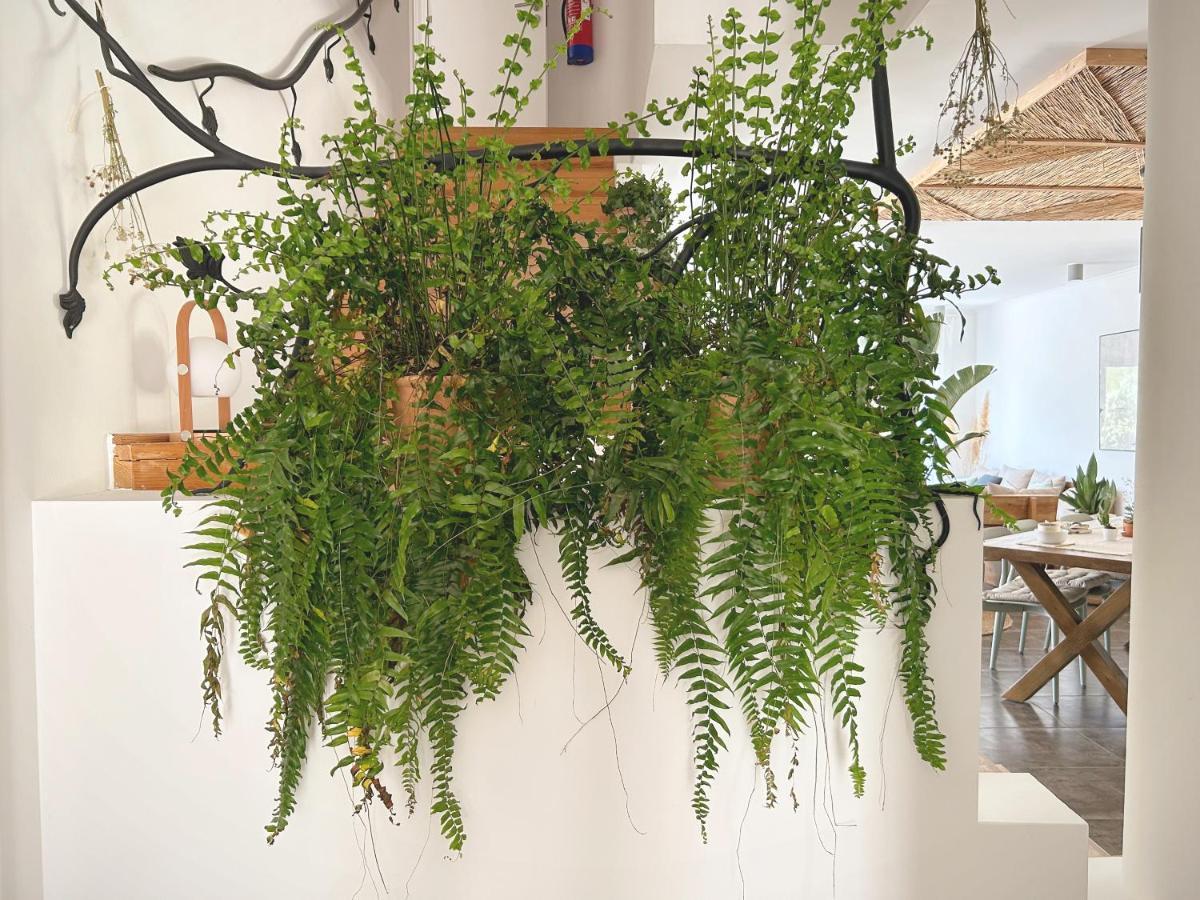 Saone Guesthouse & Coworking 에리세이라 외부 사진