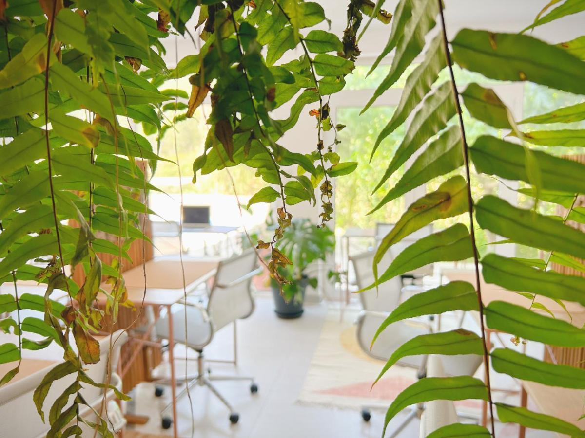 Saone Guesthouse & Coworking 에리세이라 외부 사진